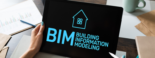 BIM Implementation Project Managers